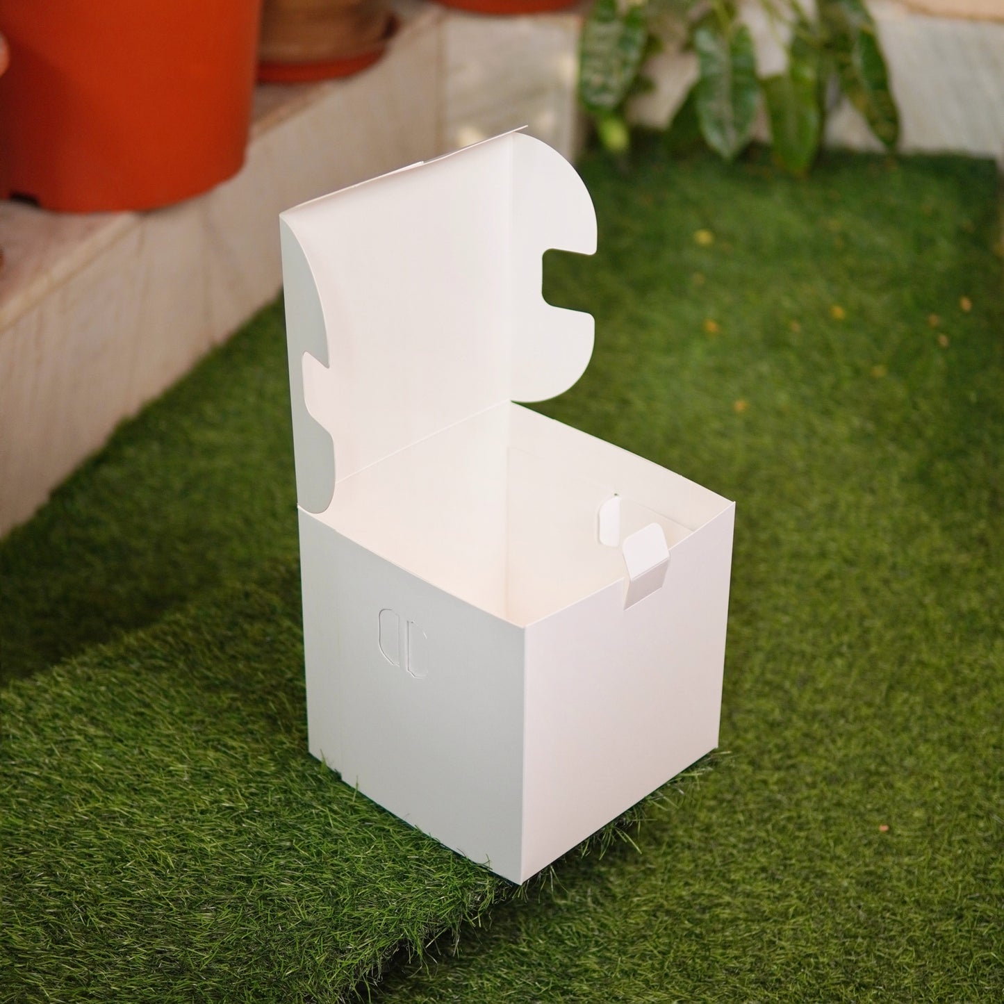 WHITE TALL CAKE BOX