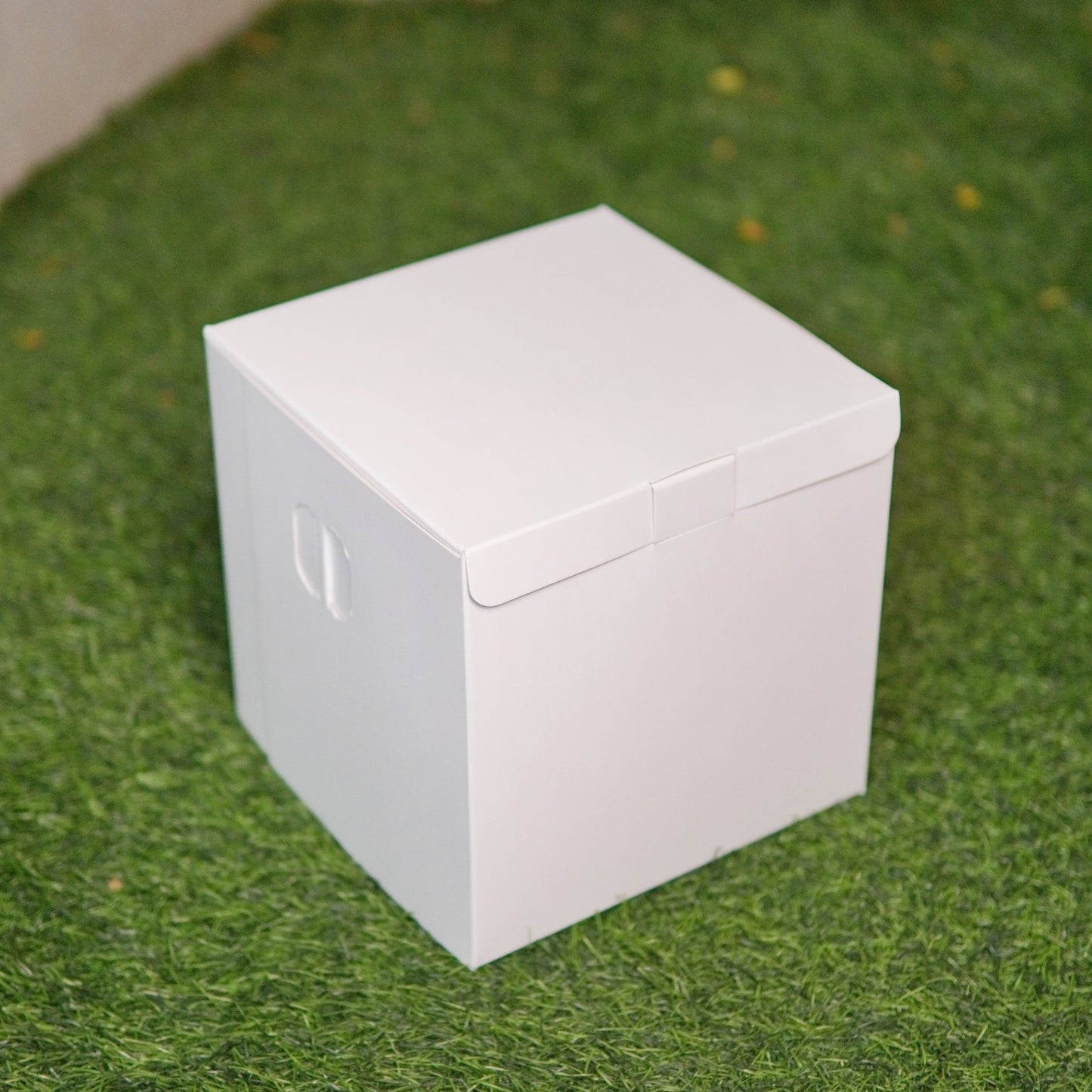 WHITE TALL CAKE BOX