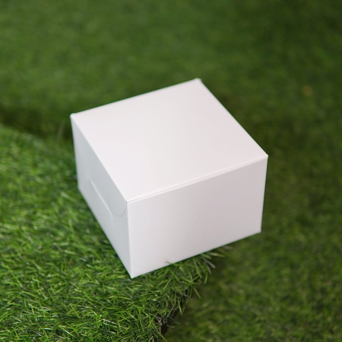 PASTRY BOX | BENTO CAKE BOX