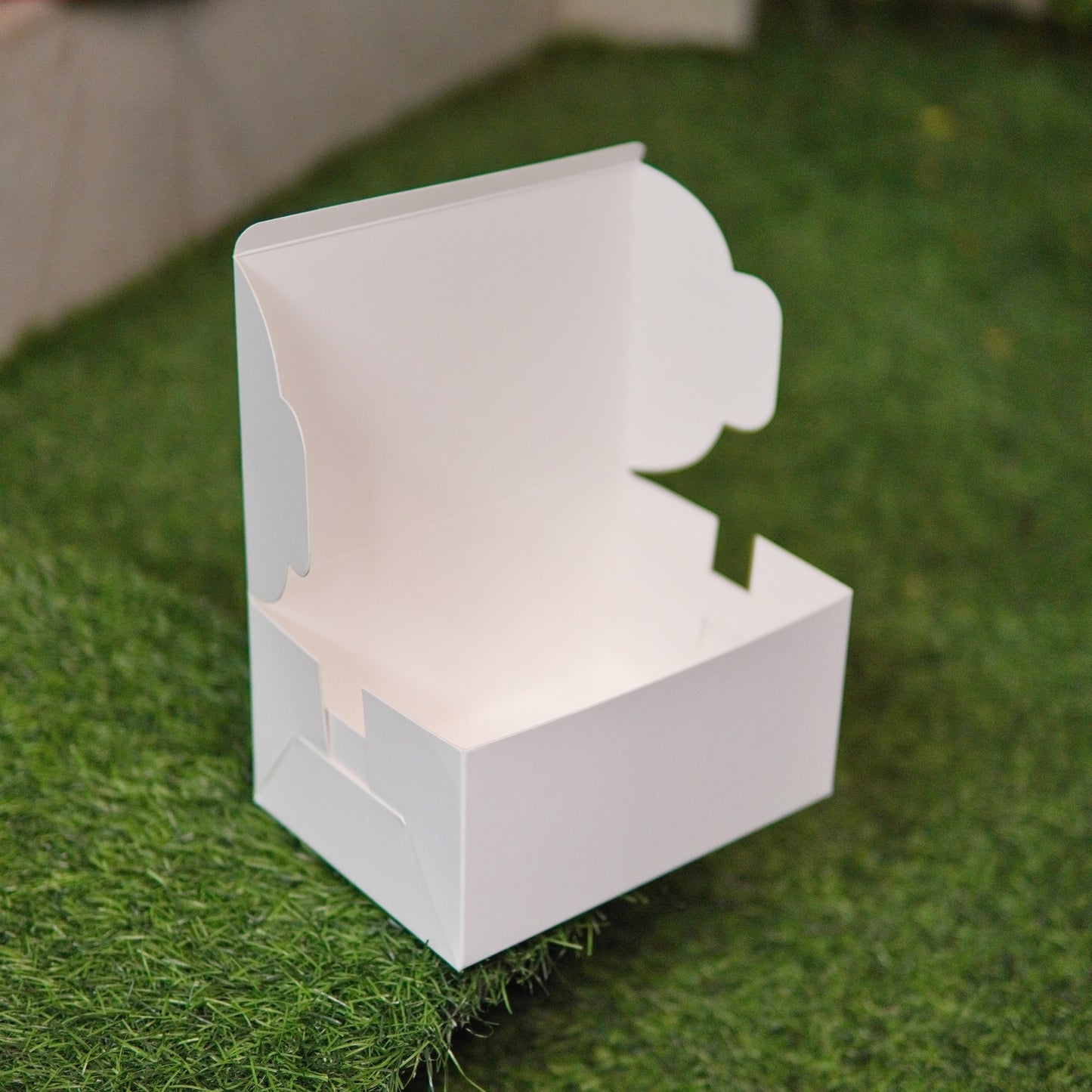 PASTRY BOX | BENTO CAKE BOX