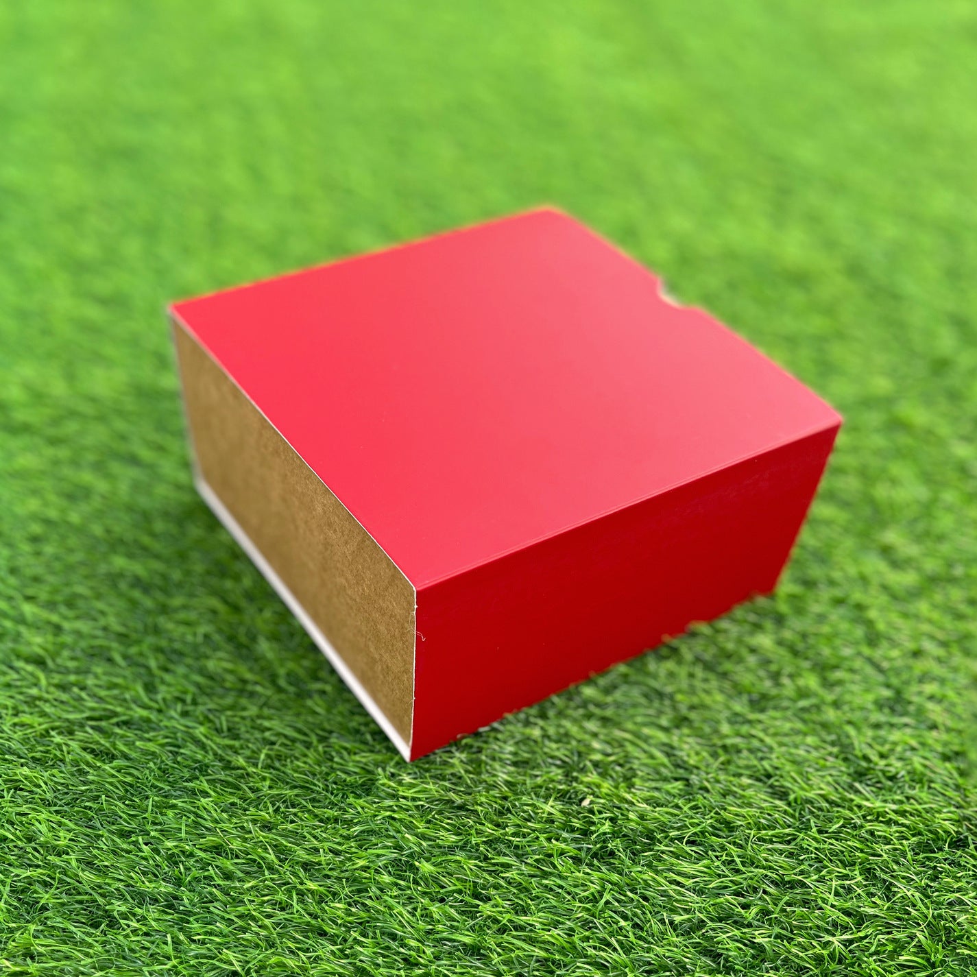 FESTIVE SLIDE BOX (6 X 6 X 3.25)
