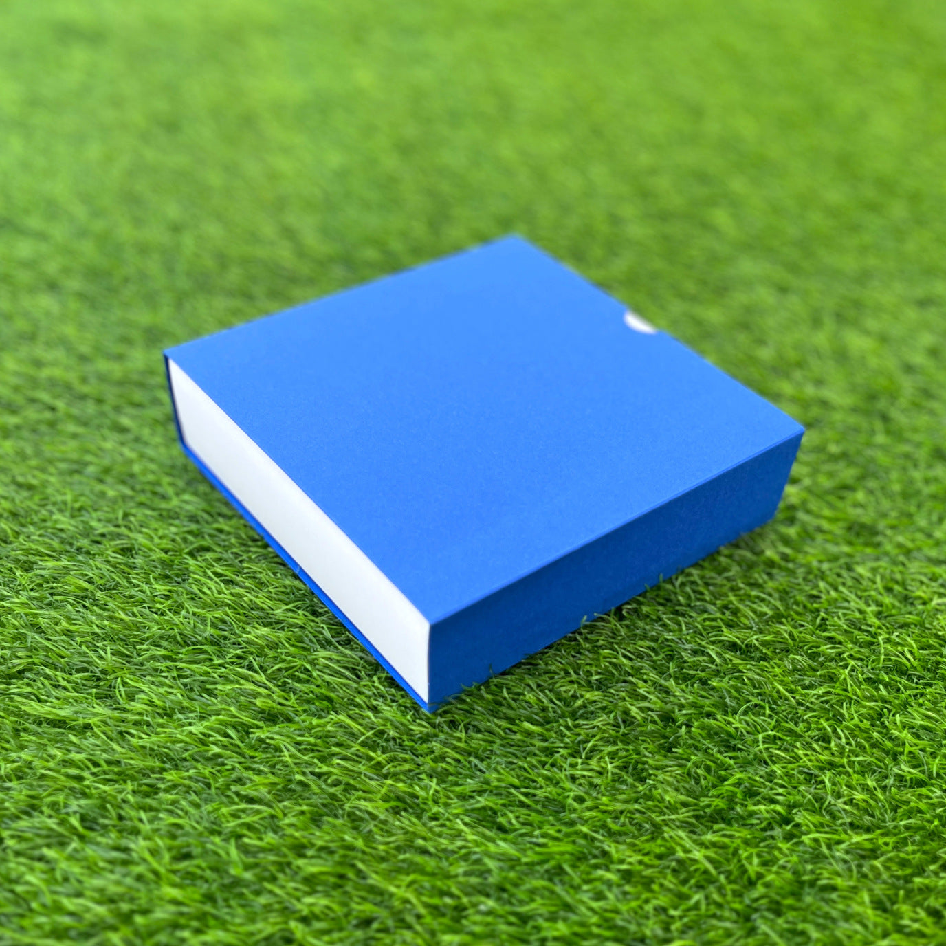 FESTIVE SLIDE BOX (6 X 6 X 2)