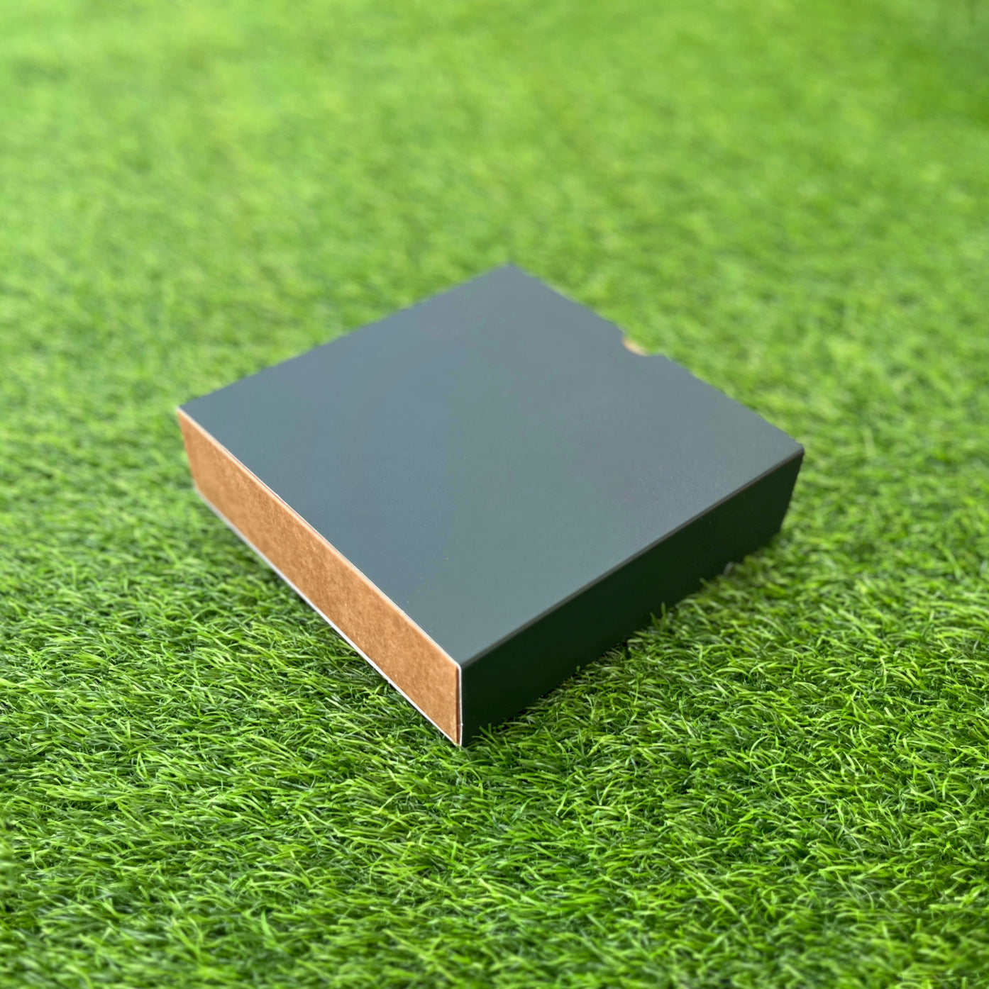 FESTIVE SLIDE BOX (6 X 6 X 2)