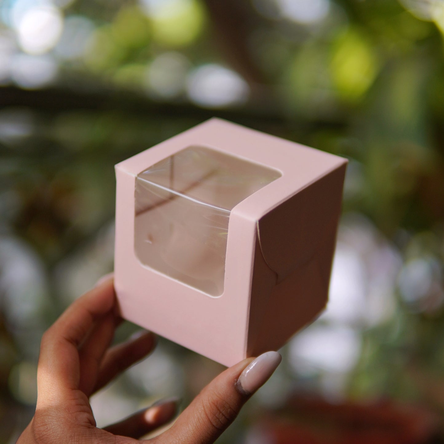 SINGLE PC CUPCAKE BOX