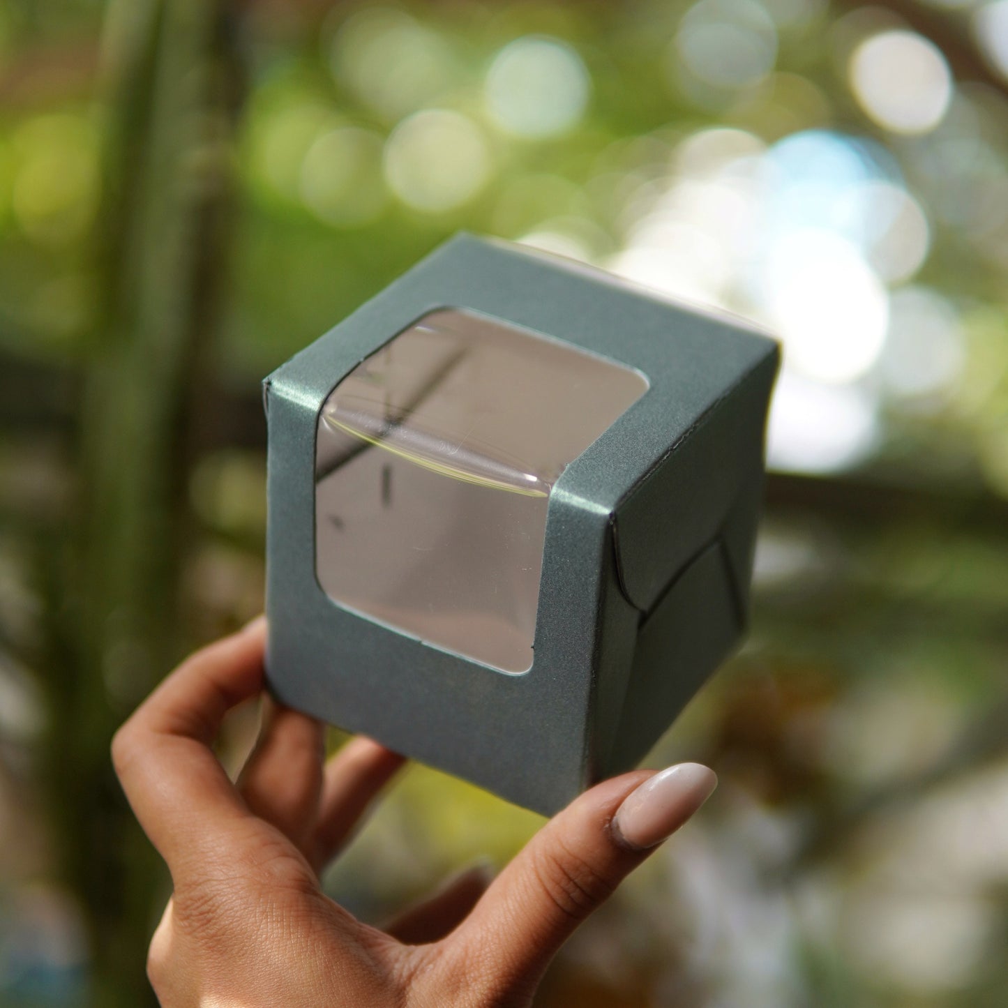 SINGLE PC CUPCAKE BOX