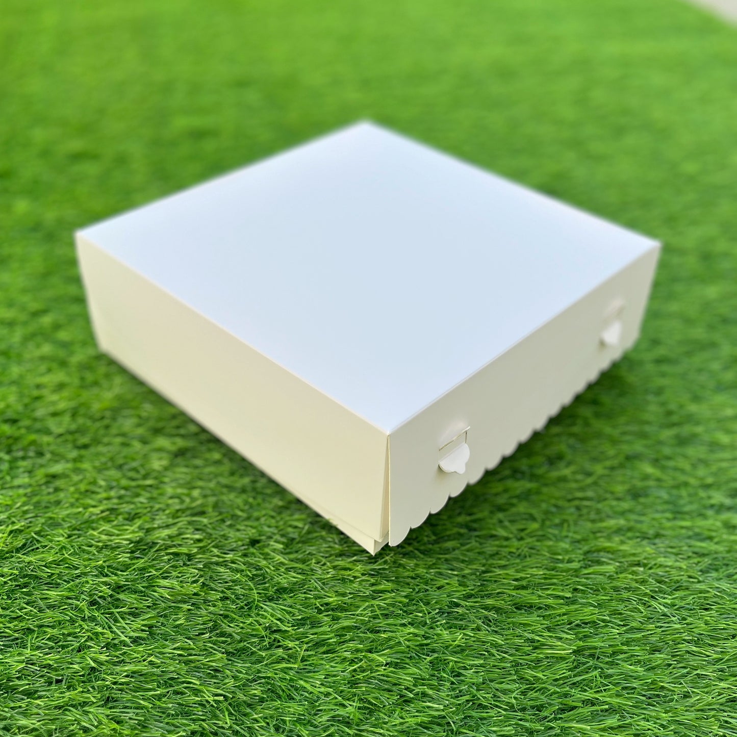 9 PC CUPCAKE BOX