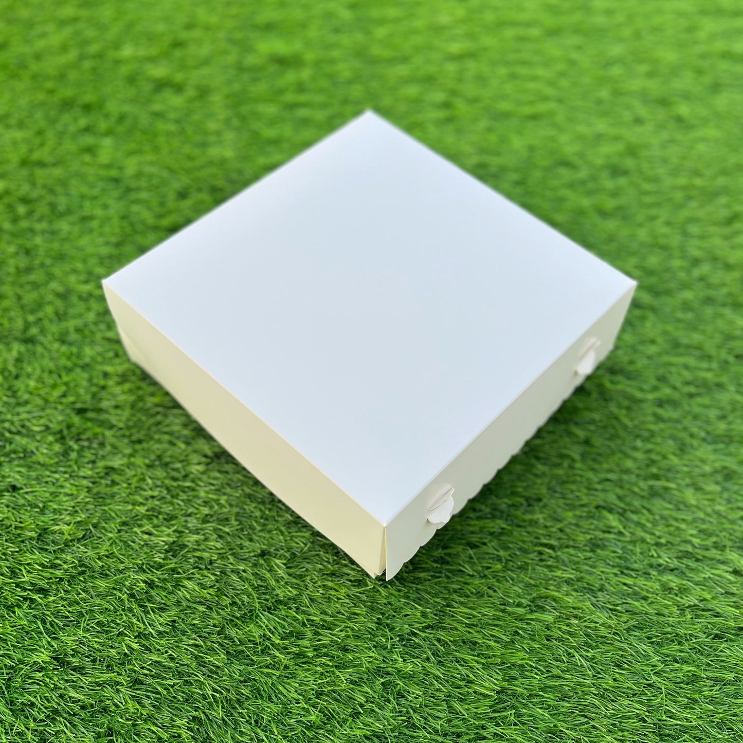 9 PC CUPCAKE BOX