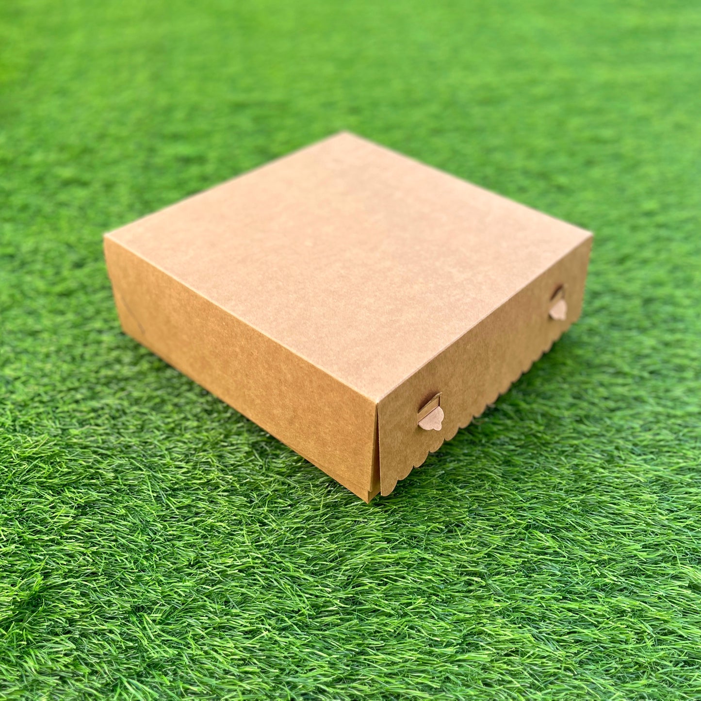 9 PC CUPCAKE BOX