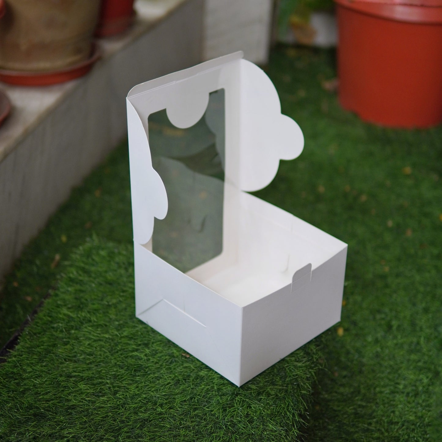 WHITE DUAL WINDOW CAKE BOX