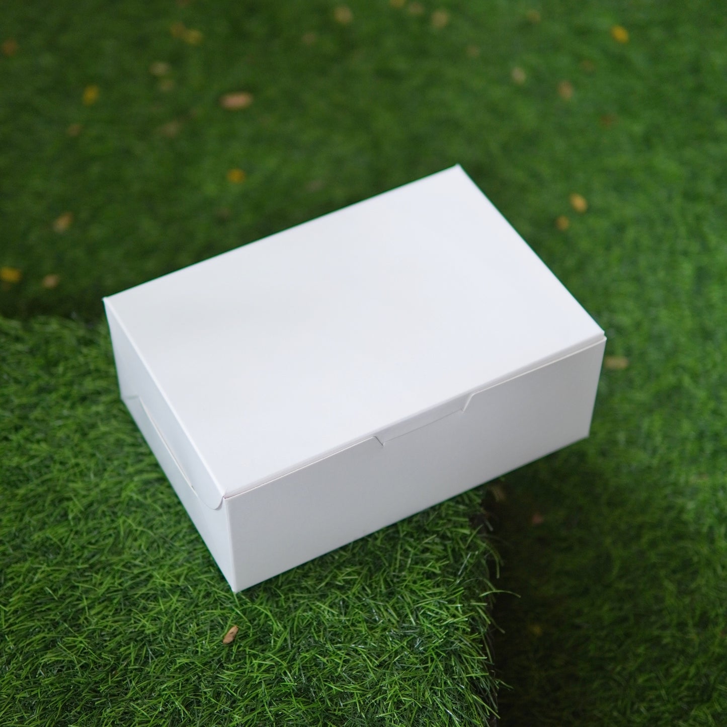 6 PC CUPCAKE BOX