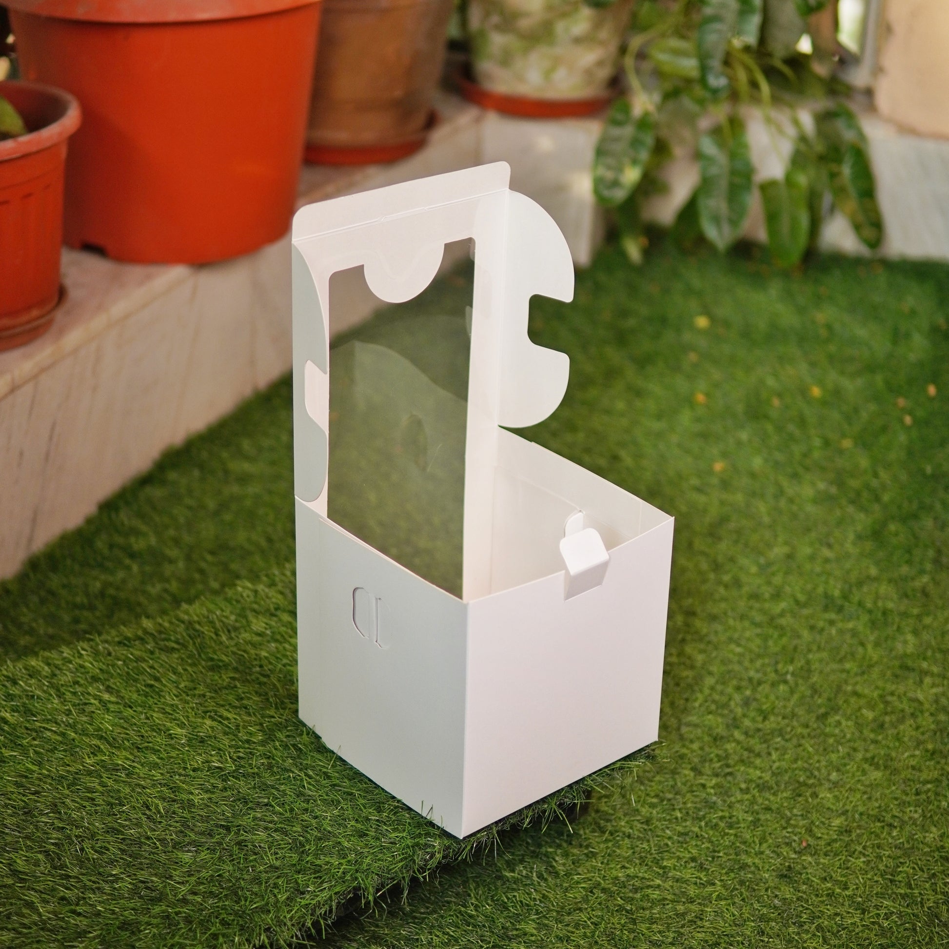 WHITE TALL WINDOW CAKE BOX – The Cake Case Company