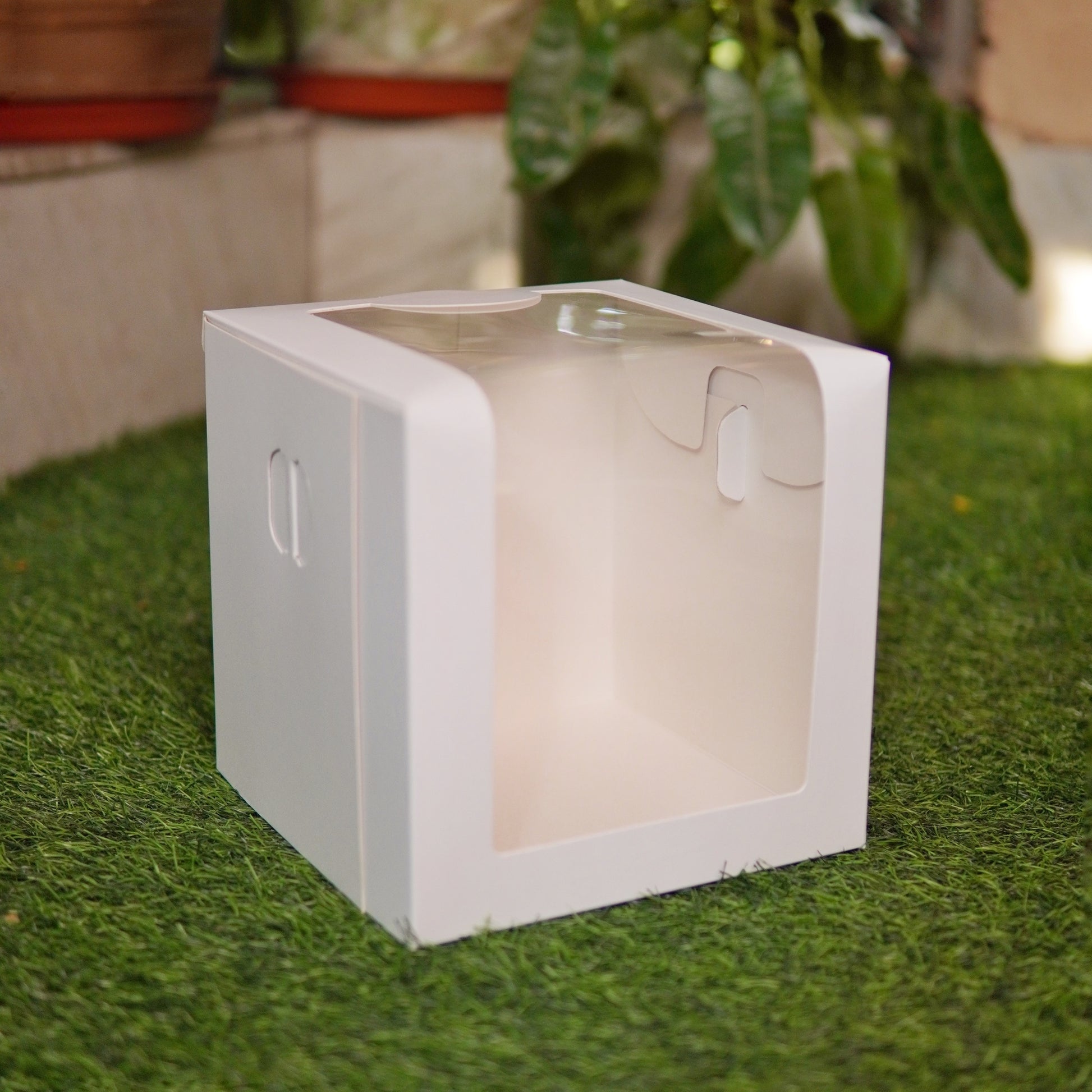 WHITE TALL WINDOW CAKE BOX – The Cake Case Company