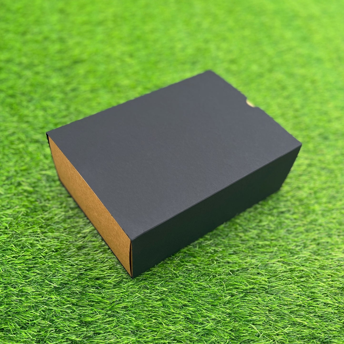 FESTIVE SLIDE BOX (9 X 6 X 3.25)