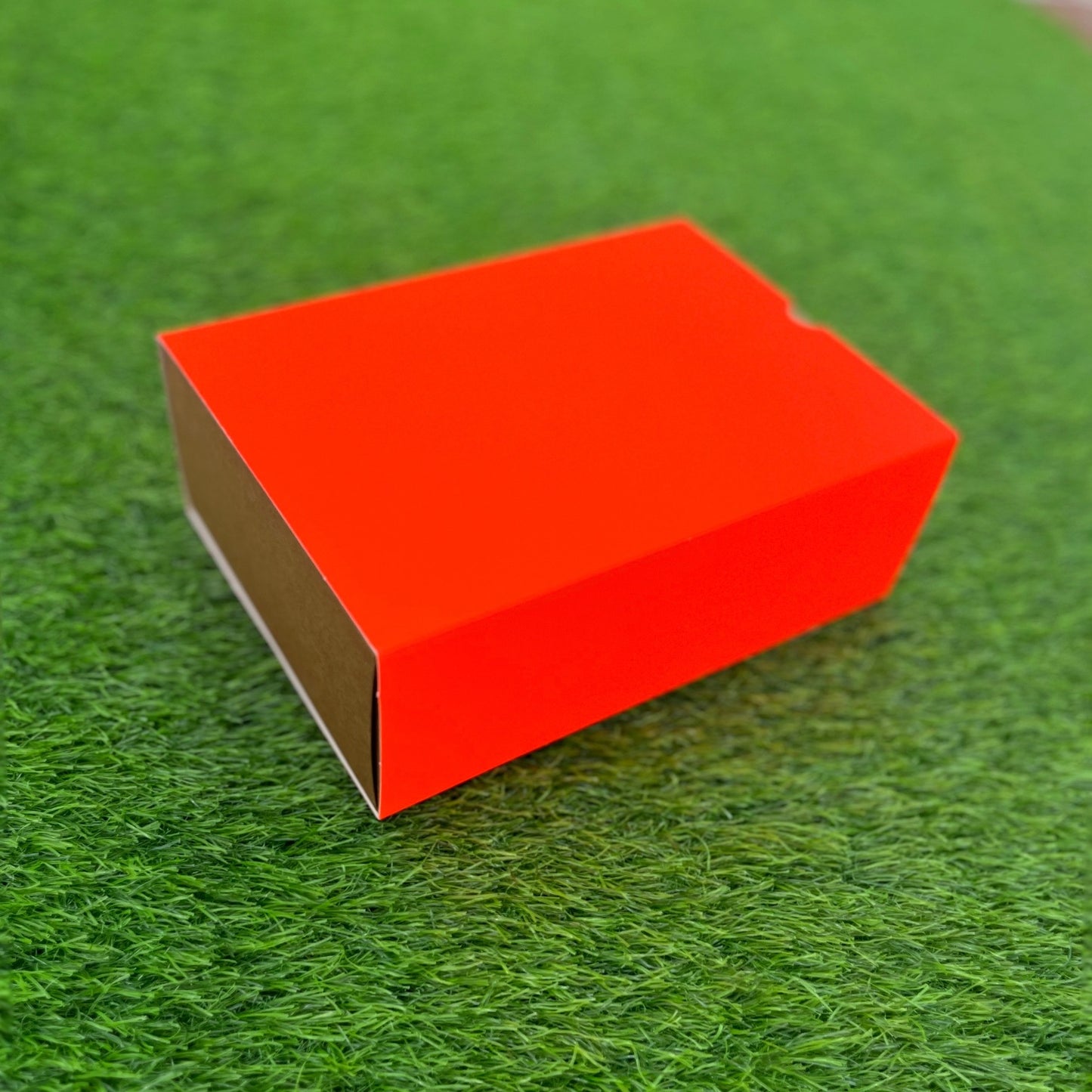 FESTIVE SLIDE BOX (9 X 6 X 3.25)