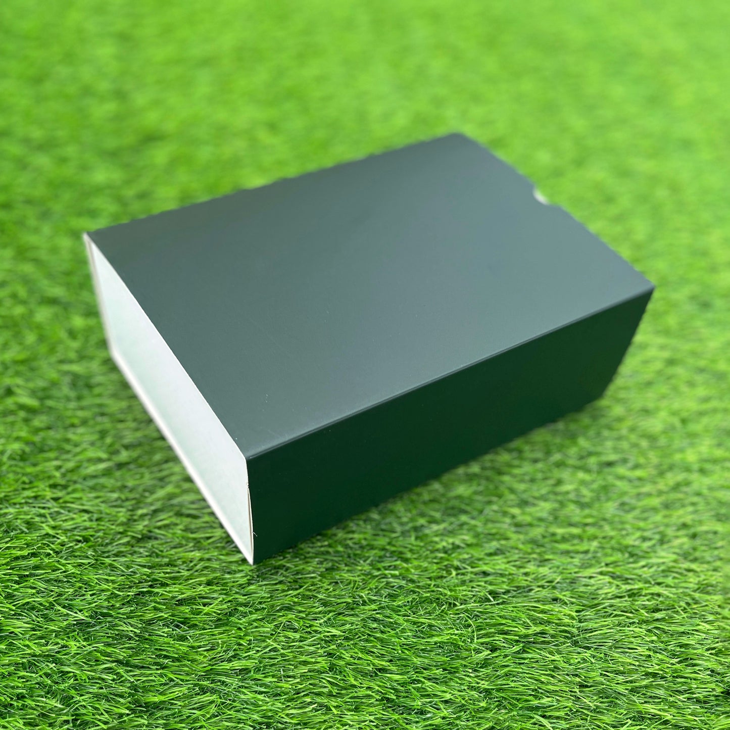 FESTIVE SLIDE BOX (9 X 6 X 3.25)