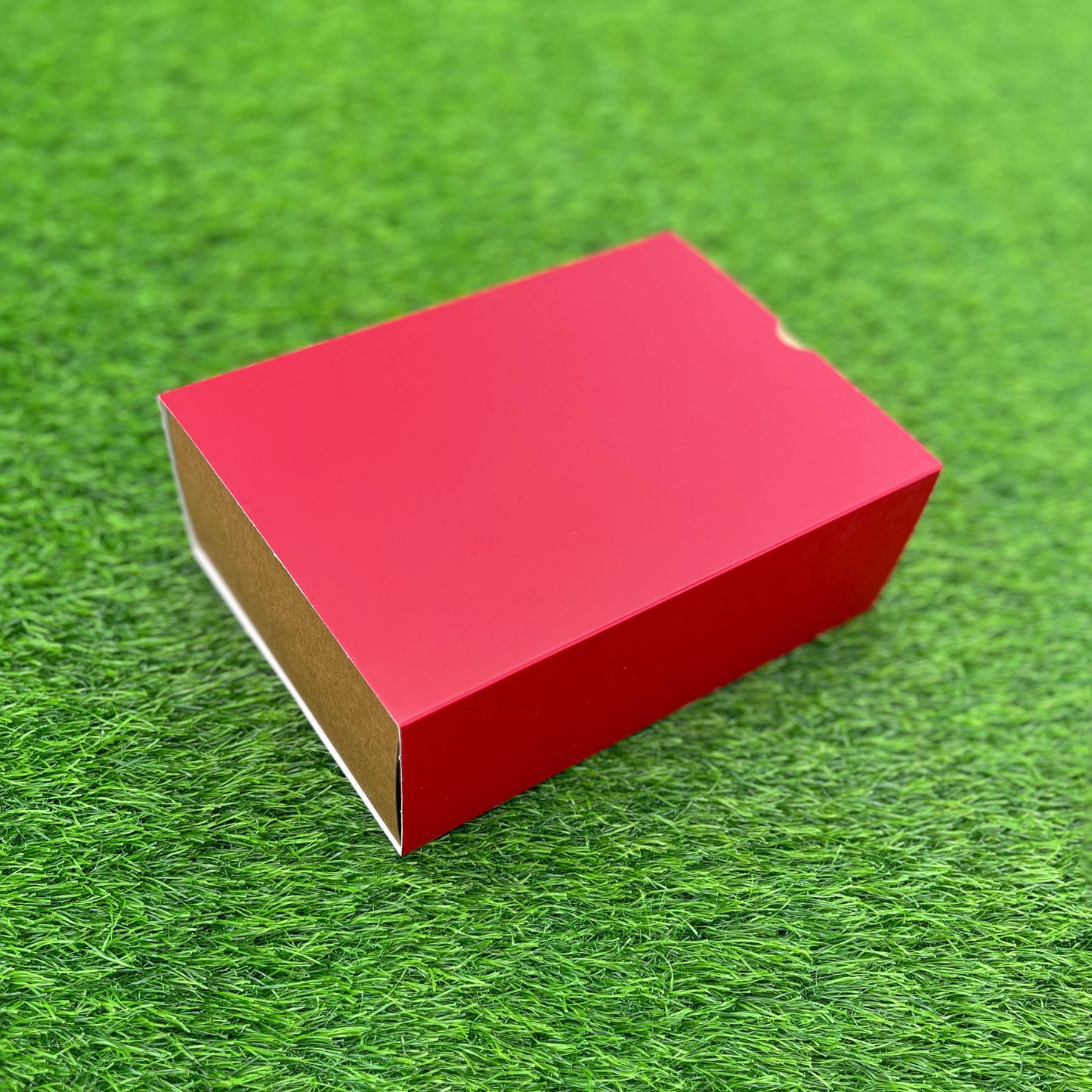 FESTIVE SLIDE BOX (9 X 6 X 3.25)