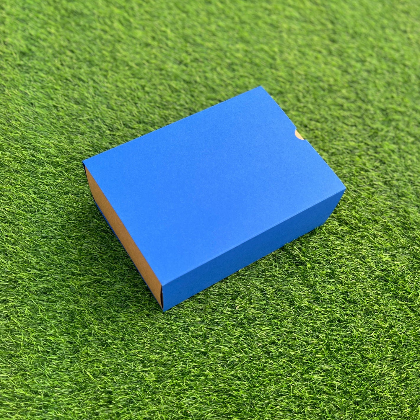 FESTIVE SLIDE BOX (9 X 6 X 3.25)