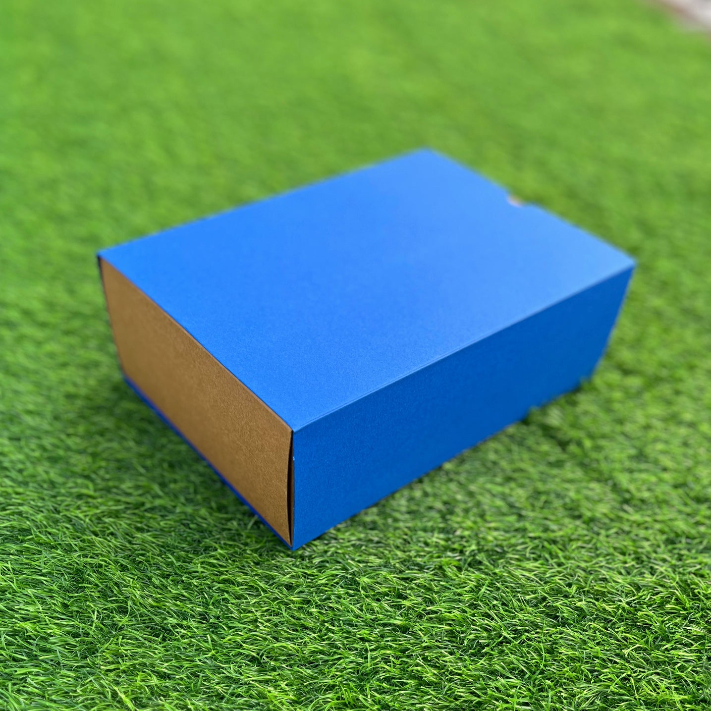 FESTIVE SLIDE BOX (9 X 6 X 3.25)