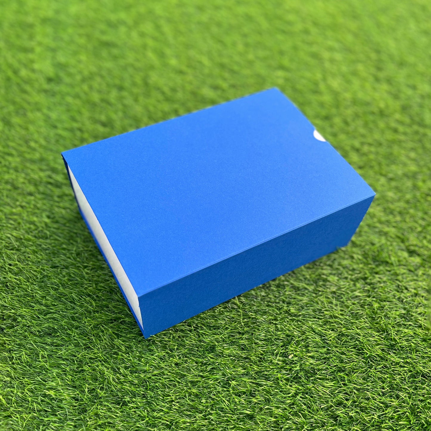 FESTIVE SLIDE BOX (9 X 6 X 3.25)