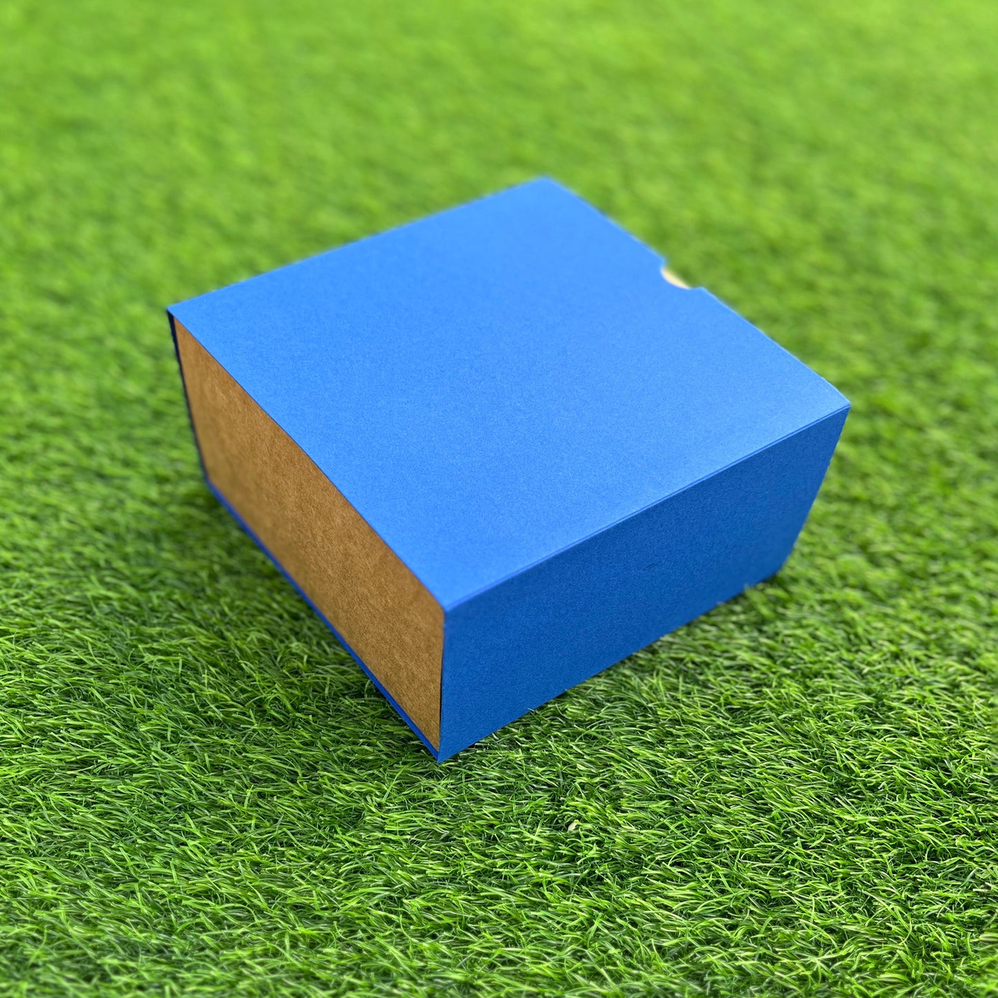 FESTIVE SLIDE BOX (6 X 6 X 3.25)