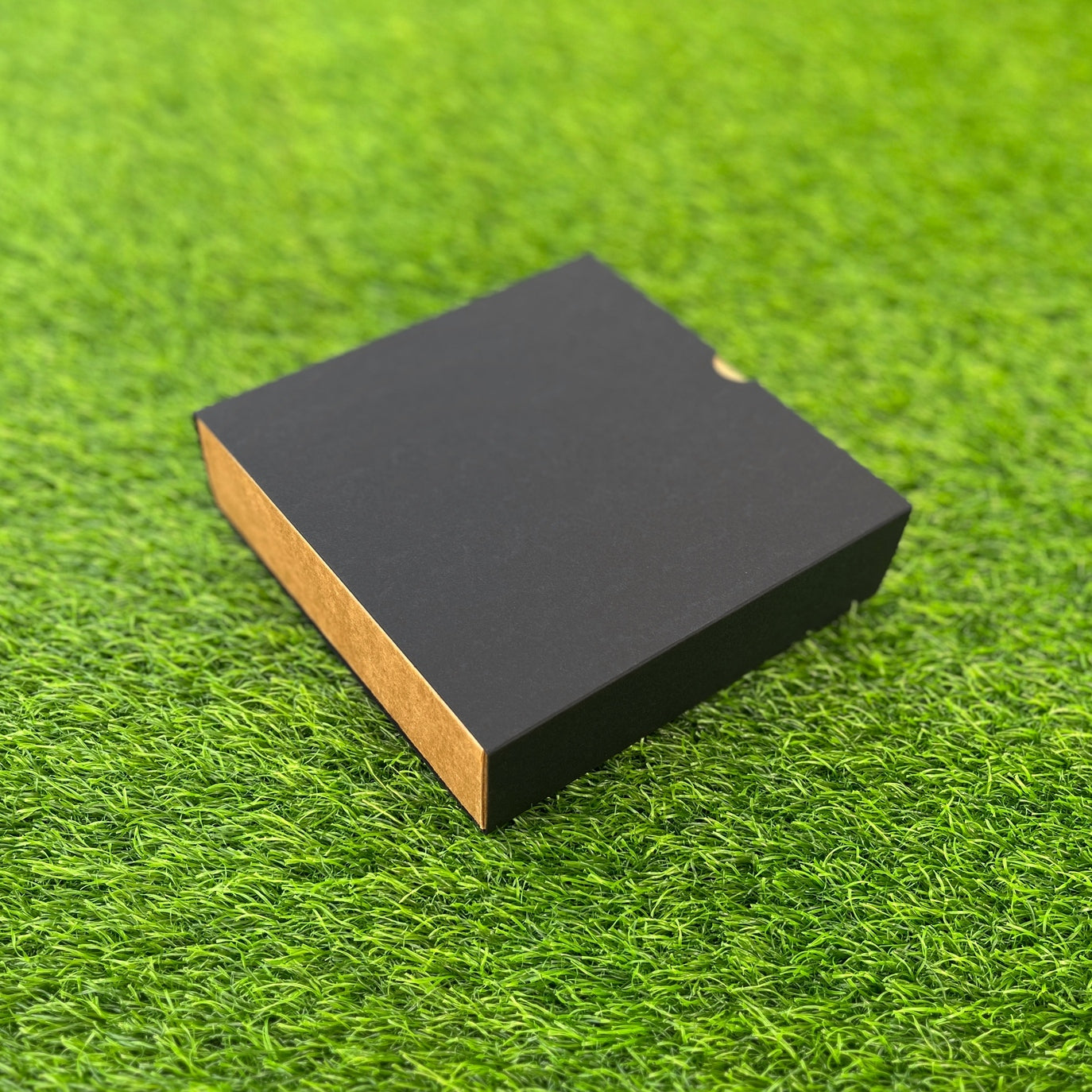 FESTIVE SLIDE BOX (6 X 6 X 2)