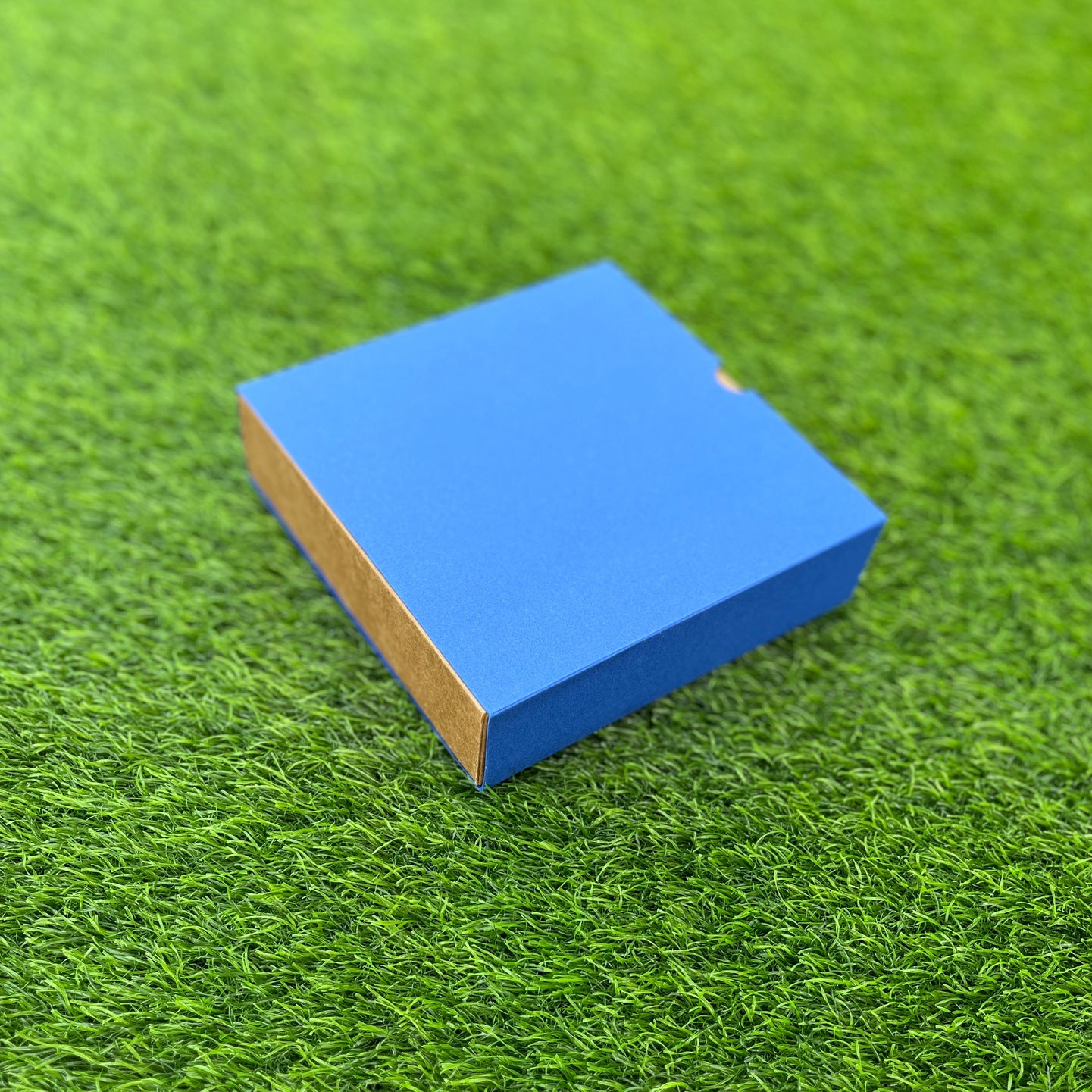FESTIVE SLIDE BOX (6 X 6 X 2)