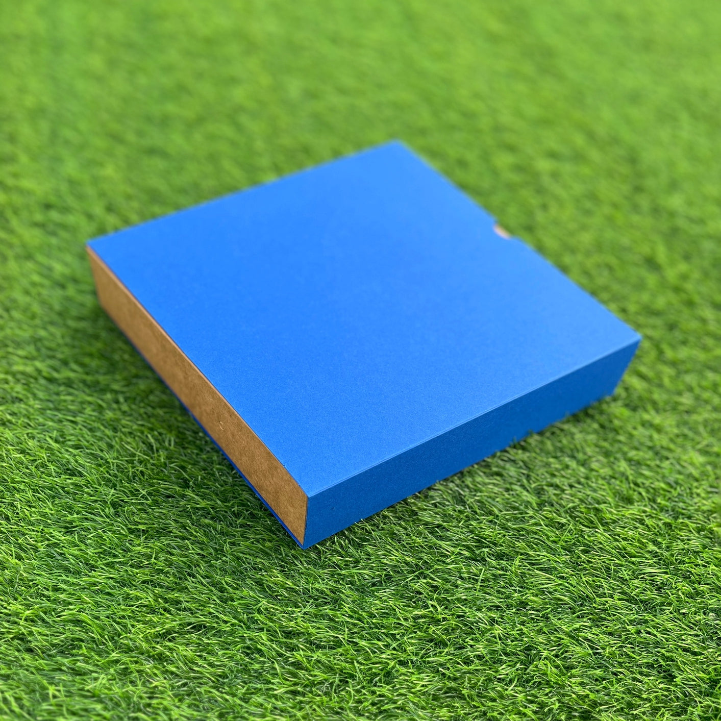 FESTIVE SLIDE BOX (9 X 9 X 2)