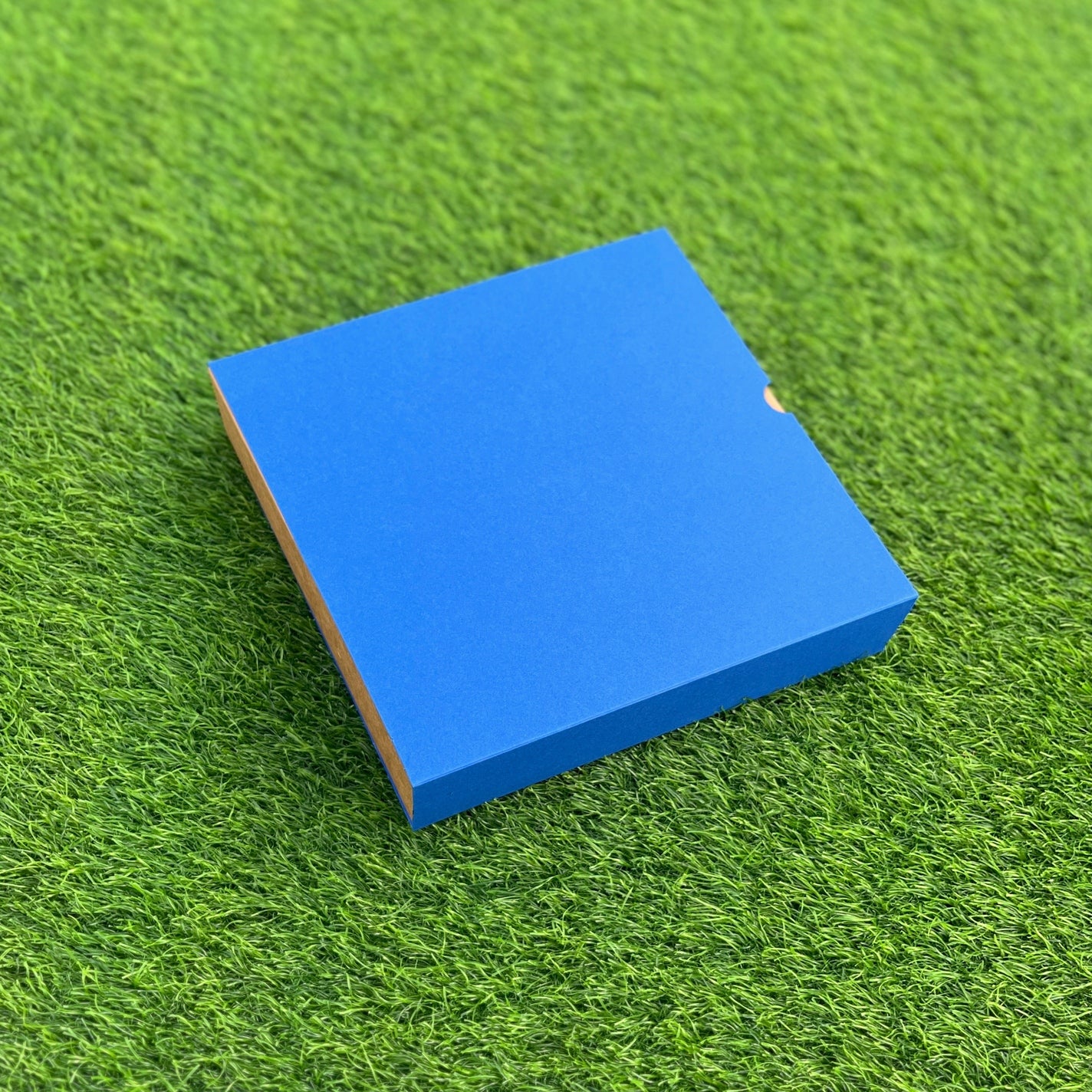 FESTIVE SLIDE BOX (9 X 9 X 2)