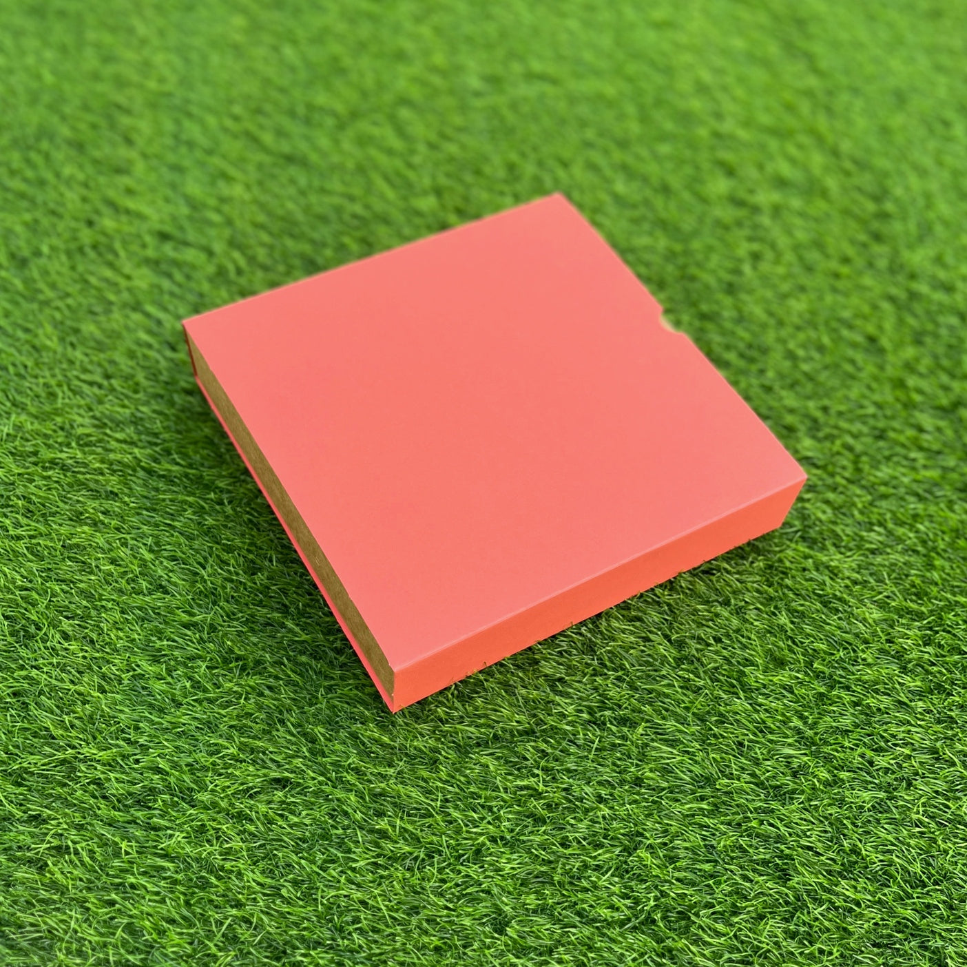 FESTIVE SLIDE BOX (9 X 9 X 2)