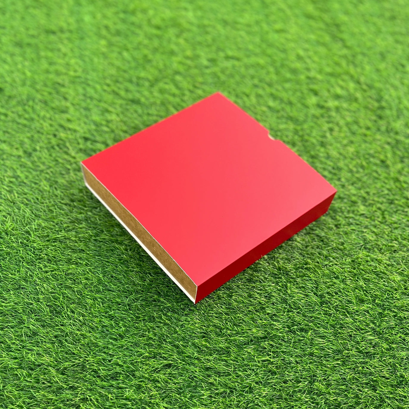 FESTIVE SLIDE BOX (9 X 9 X 2)