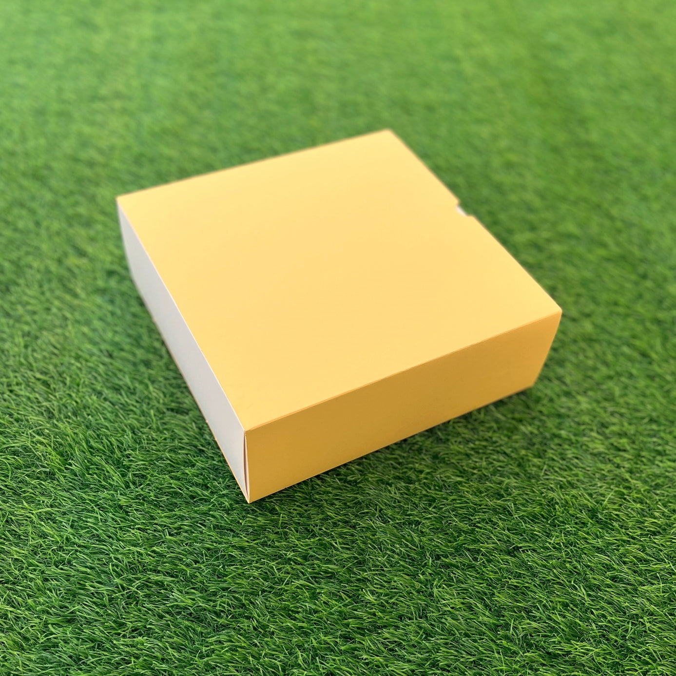 FESTIVE SLIDE BOX (9 X 9 X 3.25)