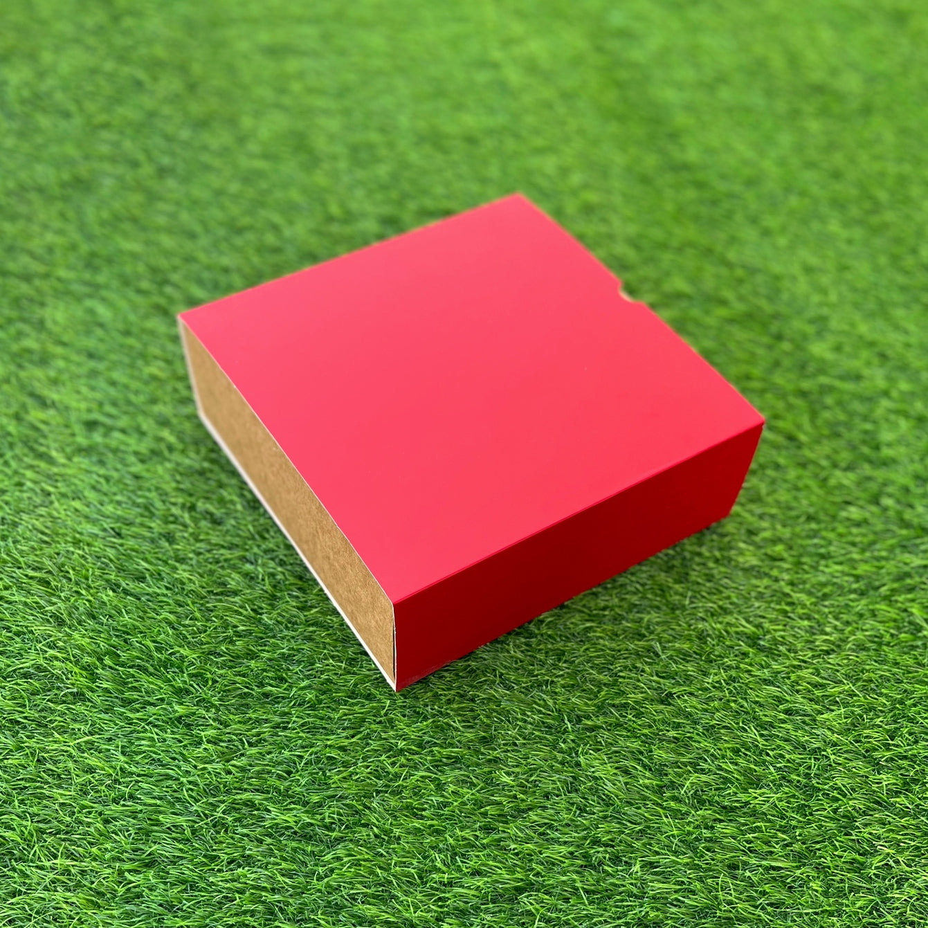 FESTIVE SLIDE BOX (9 X 9 X 3.25)