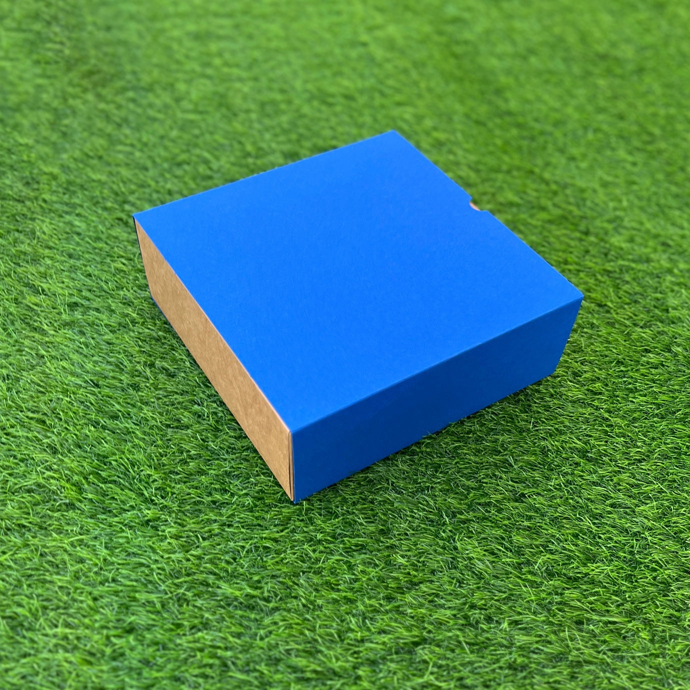 FESTIVE SLIDE BOX (9 X 9 X 3.25)