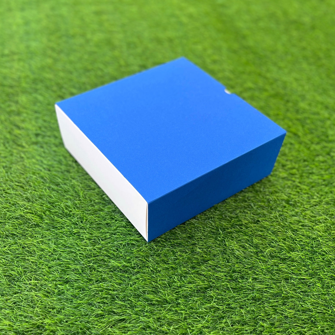 FESTIVE SLIDE BOX (9 X 9 X 3.25)