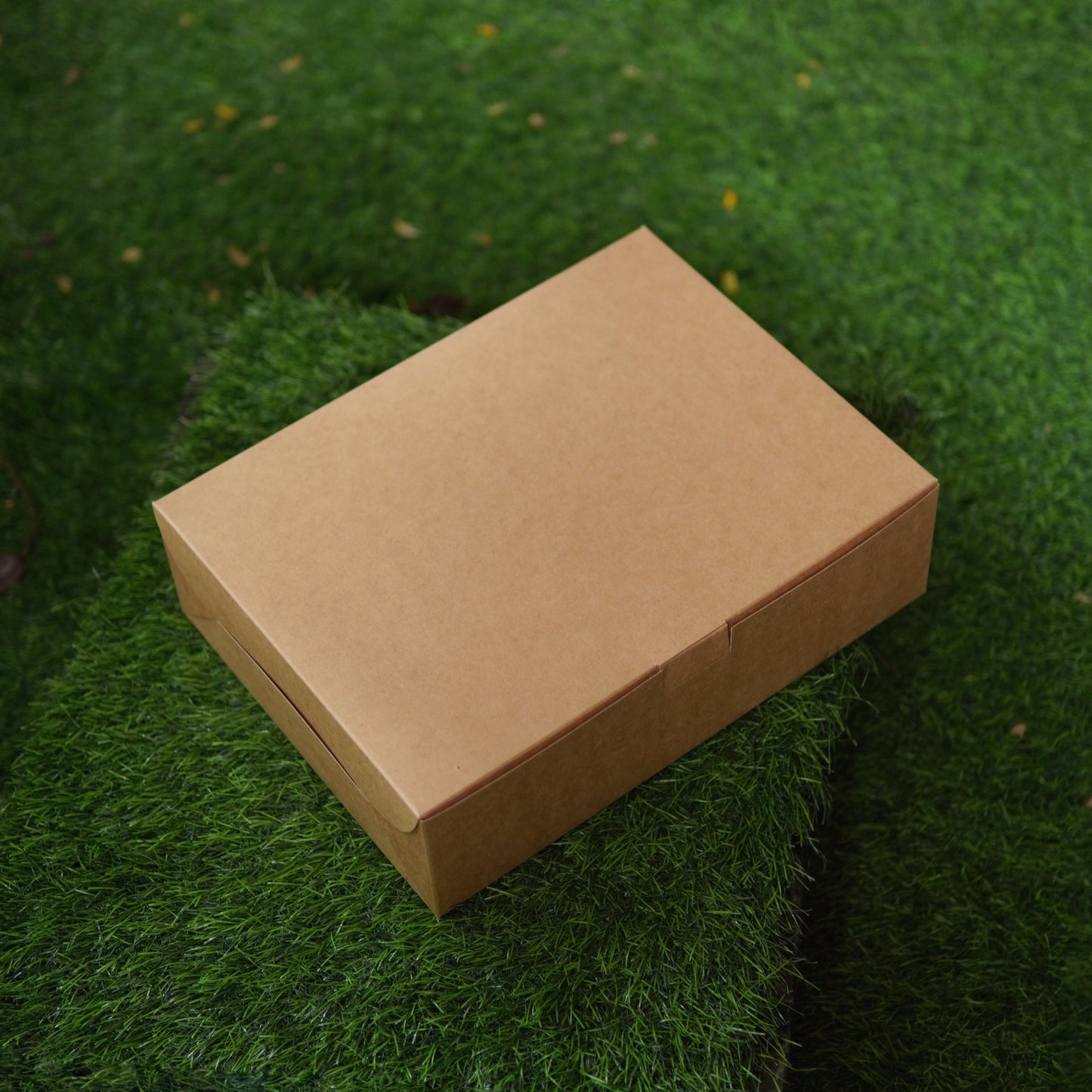 12 X 9 X 3.5 RECTANGLE CAKE BOX