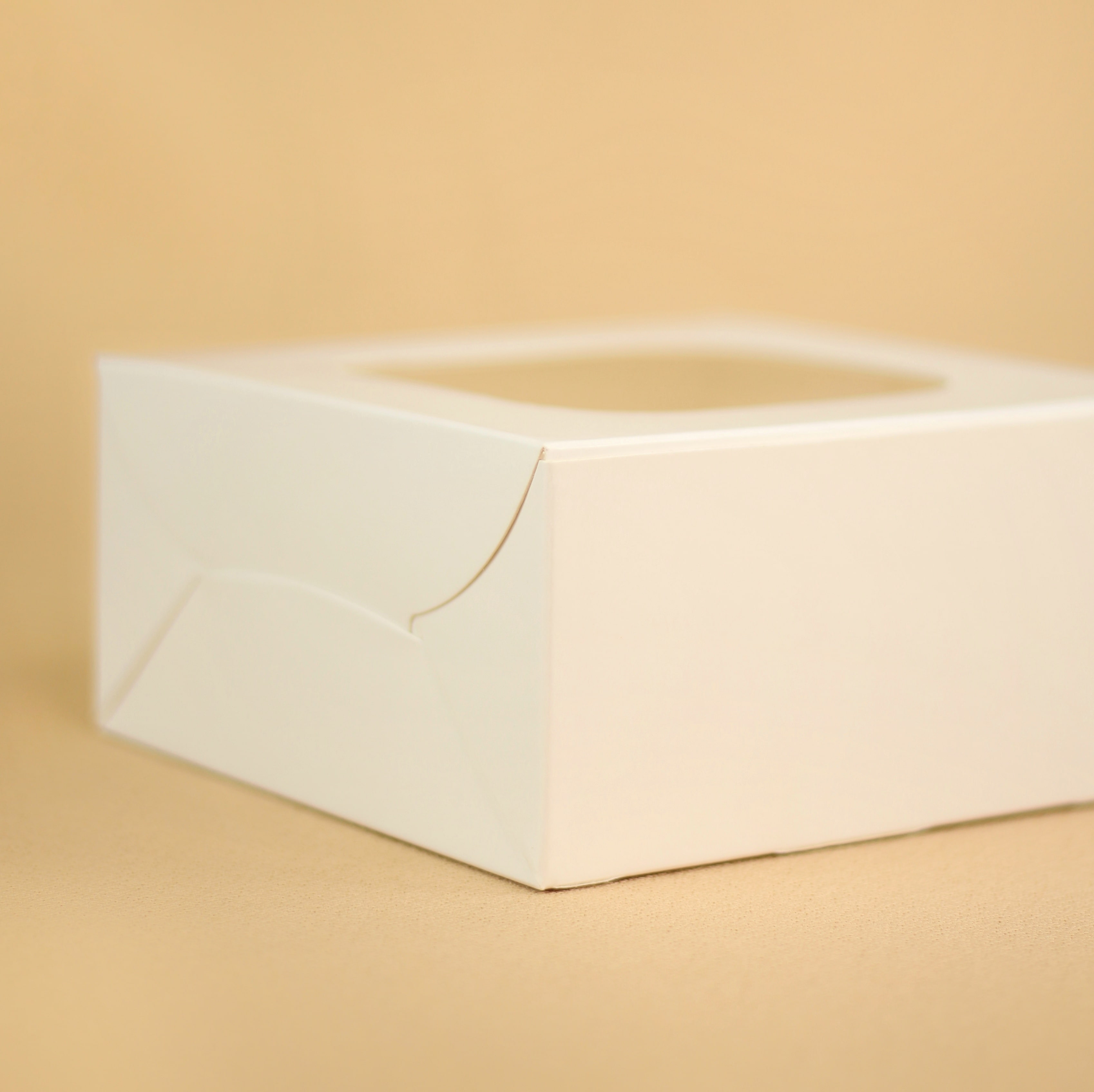 MINI CAKE BOX – The Cake Case Company